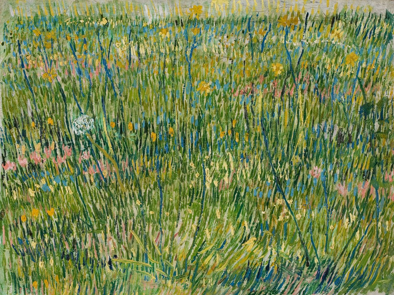 Patch of Grass, abril-junho de 1887 (óleo sobre tela) de Vincent van Gogh