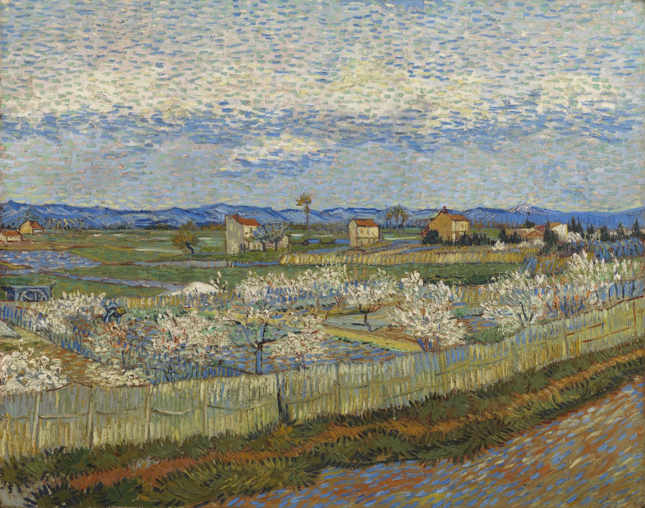 Pessegueiros em flor, 1889 de Vincent van Gogh