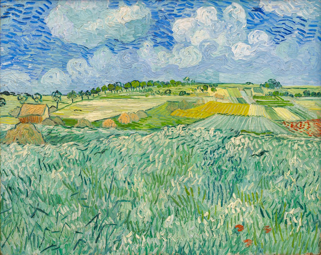 Planície perto de Auvers de Vincent van Gogh