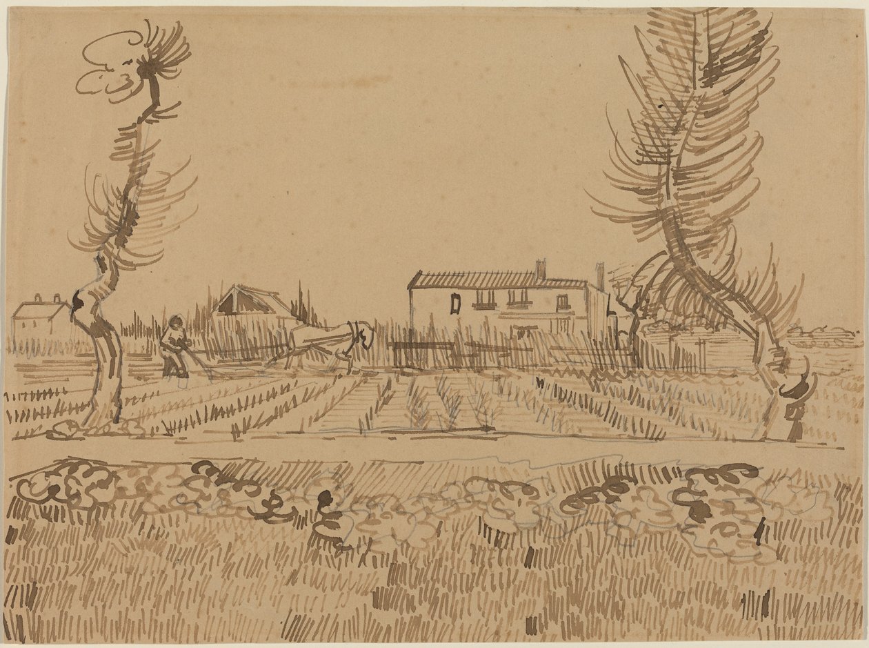Lavrador nos campos perto de Arles de Vincent van Gogh