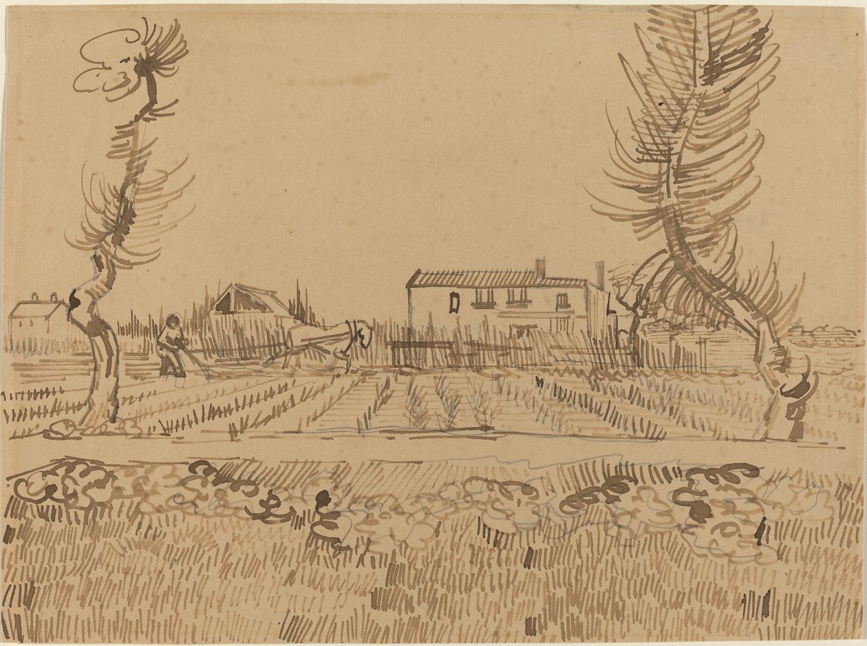 Lavrador nos campos perto de Arles, 1888. de Vincent van Gogh