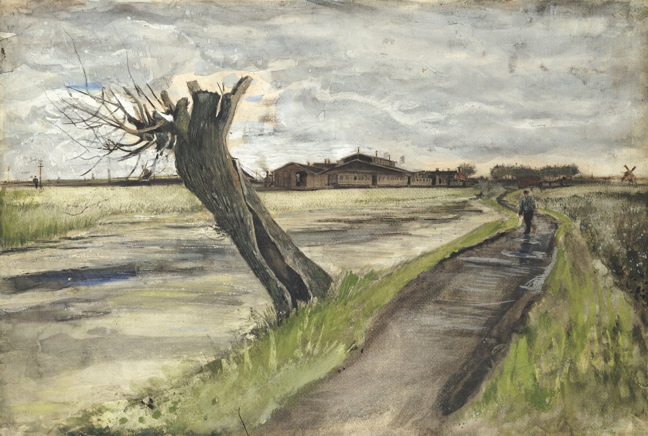 Pollard Willow, 1882 de Vincent van Gogh