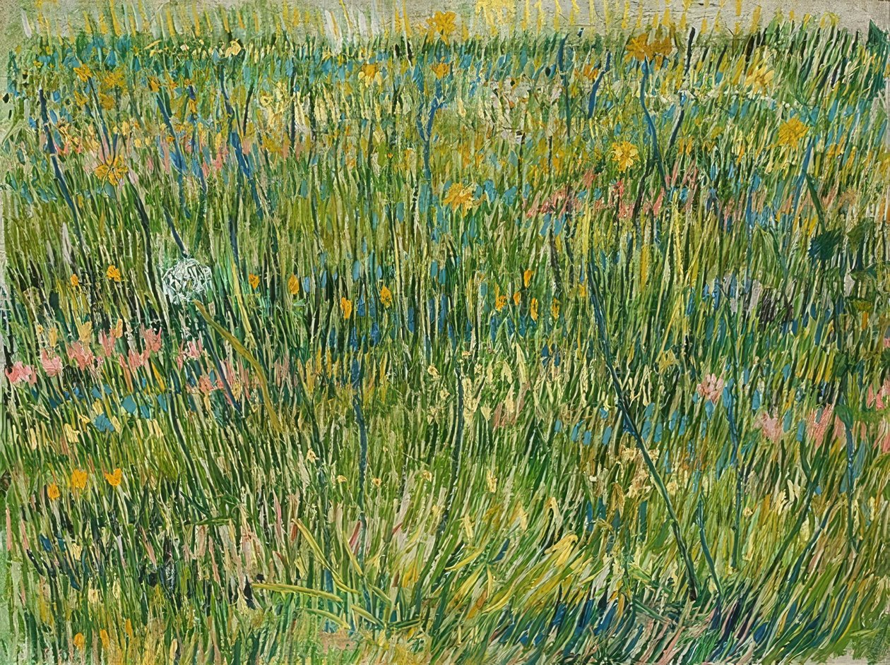 Gramado. 1887 de Vincent van Gogh