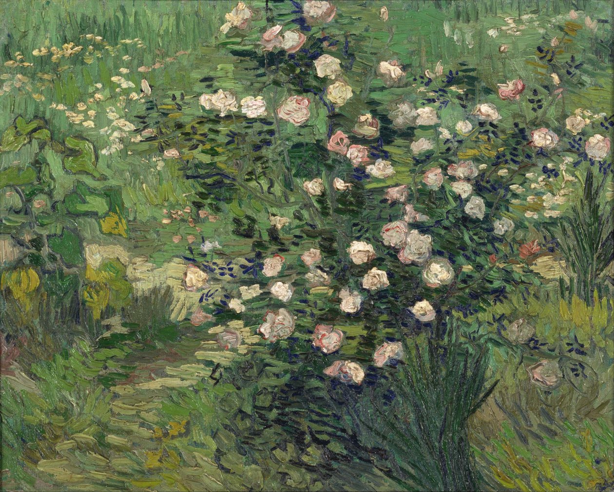 Rosas, 1889 de Vincent van Gogh
