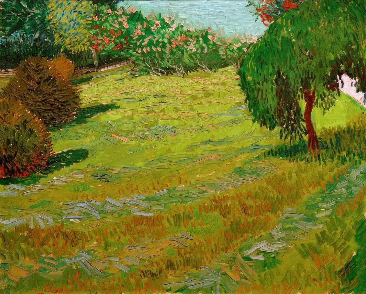 Campo ensolarado: park at the de Vincent van Gogh