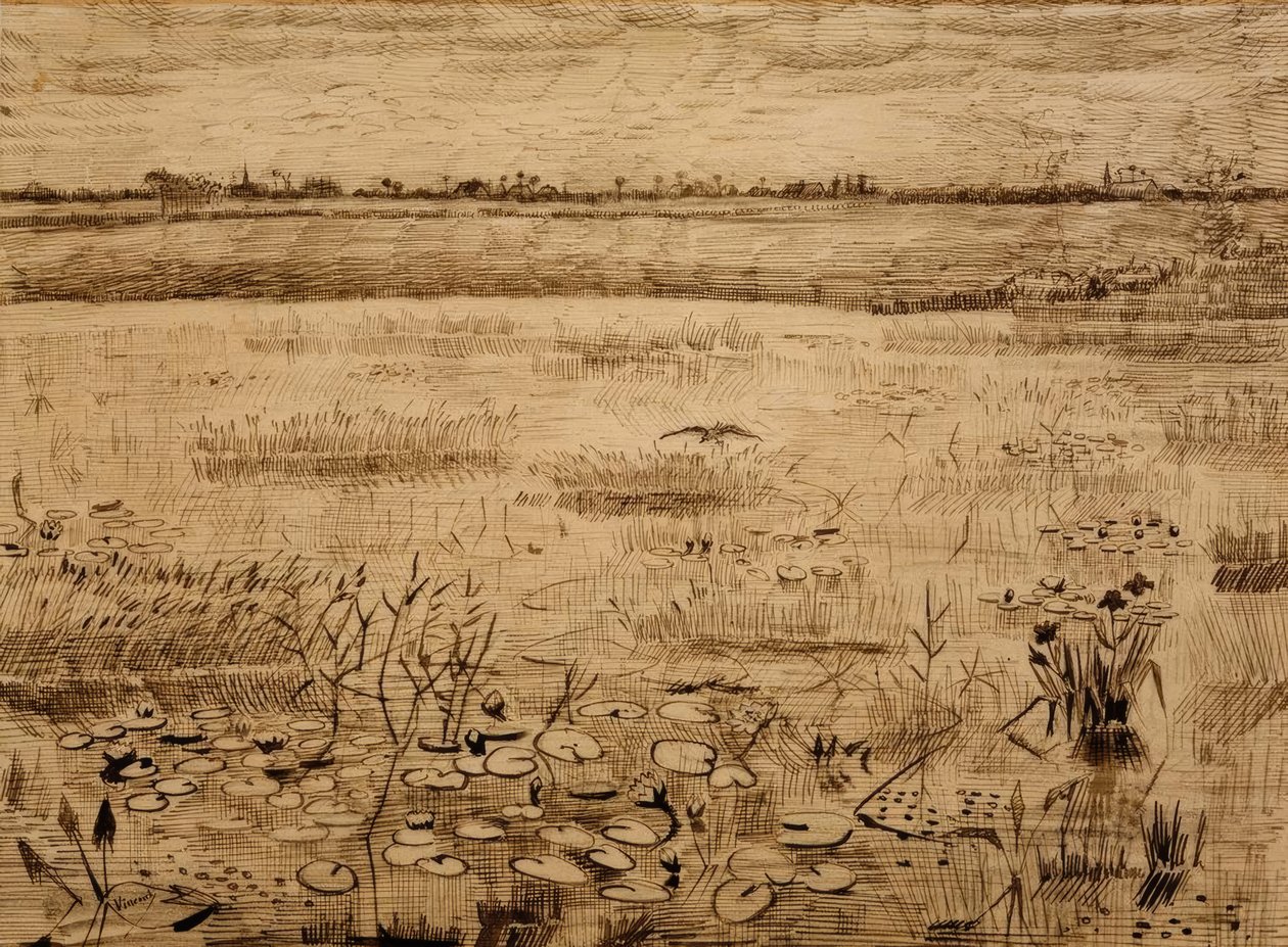 Região pantanosa com nenúfares de Vincent van Gogh