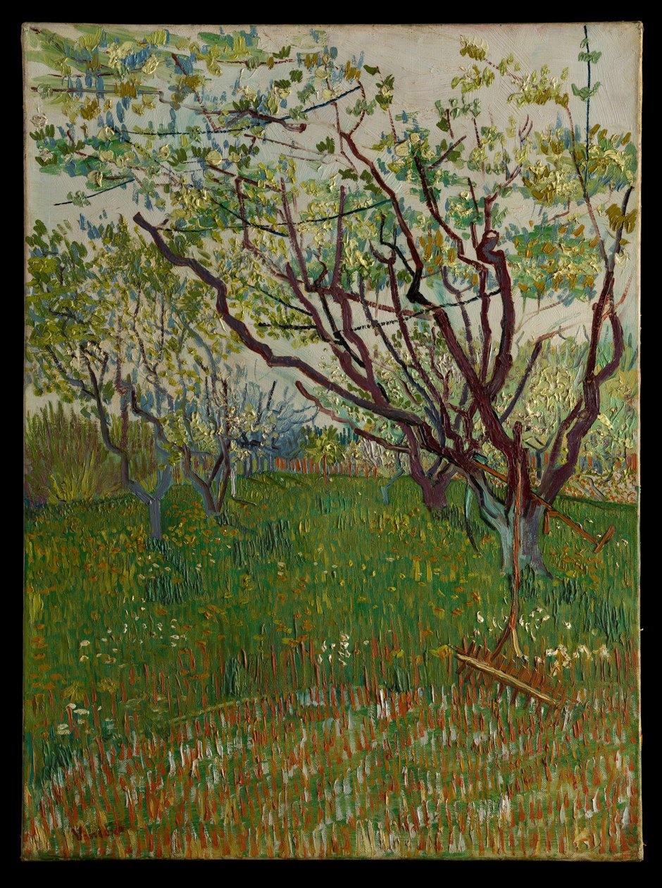 O pomar em flor de Vincent van Gogh