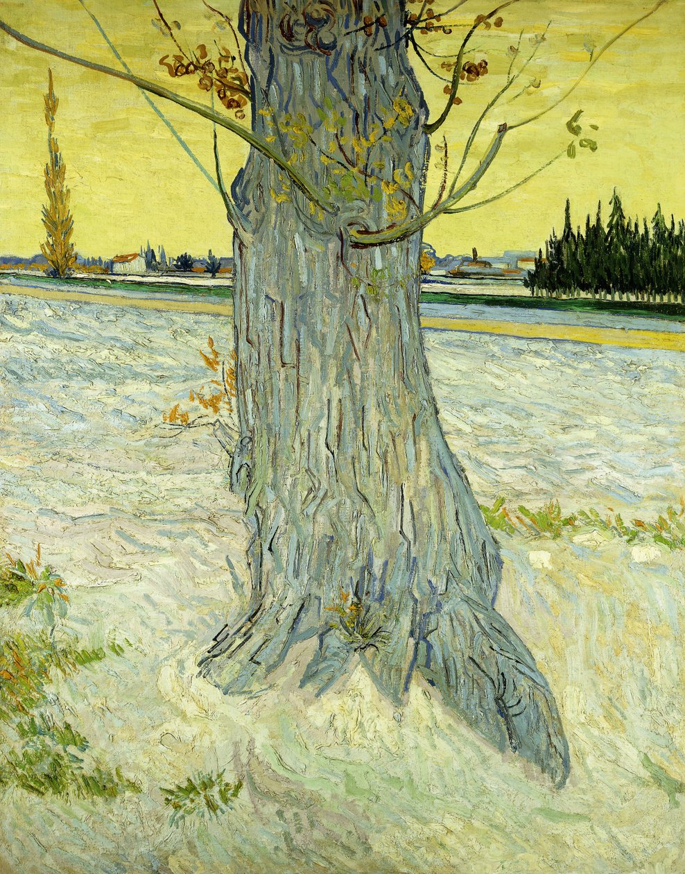 A Velha Árvore; Le Vieil Se de Vincent van Gogh
