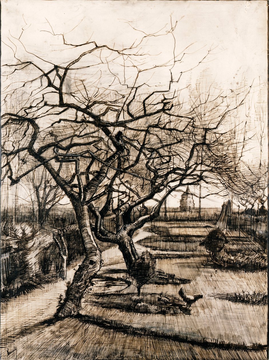 O jardim da casa paroquial em Nuenen no inverno de Vincent van Gogh