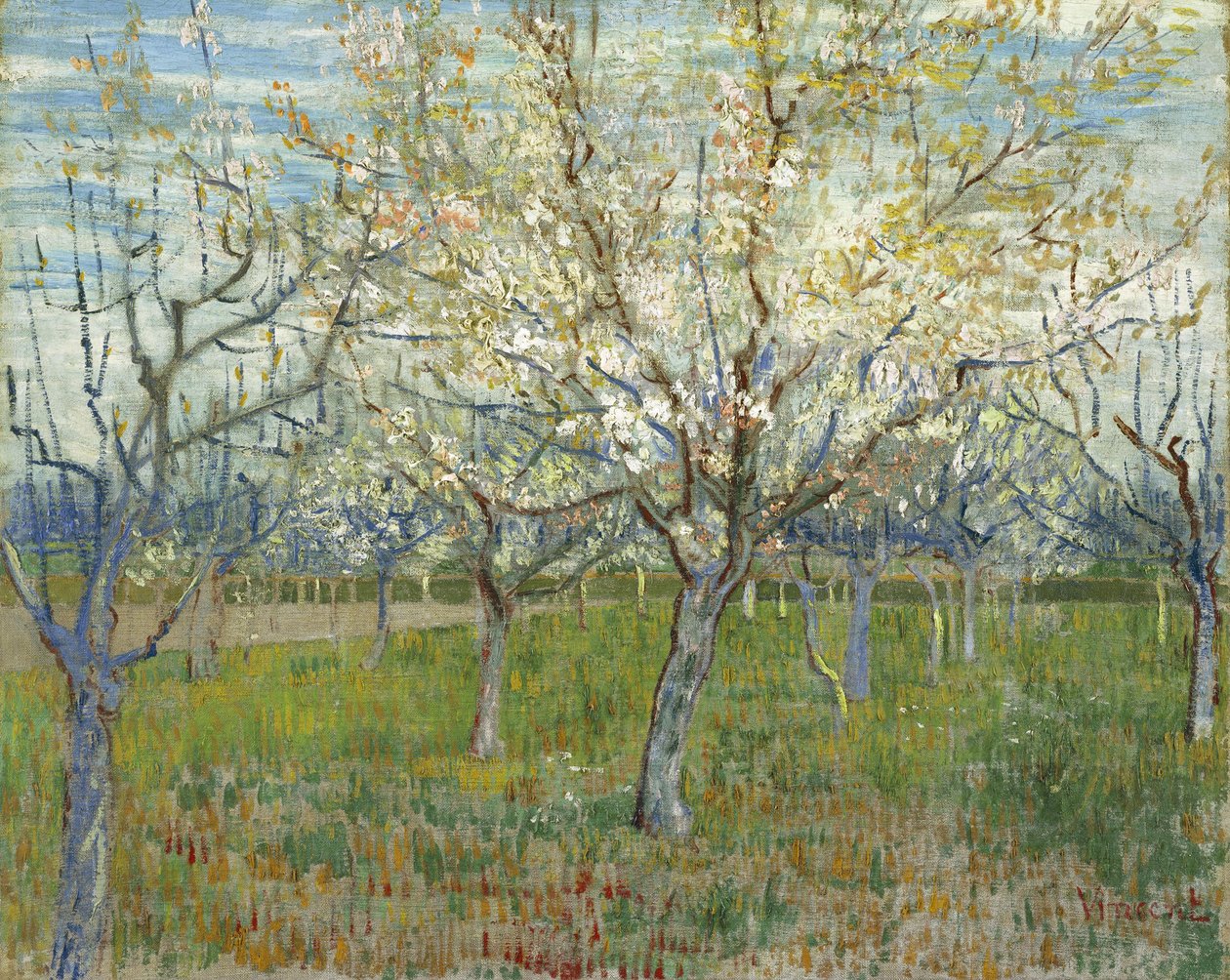O pomar cor-de-rosa, também Pomar com damasqueiros em flor de Vincent van Gogh
