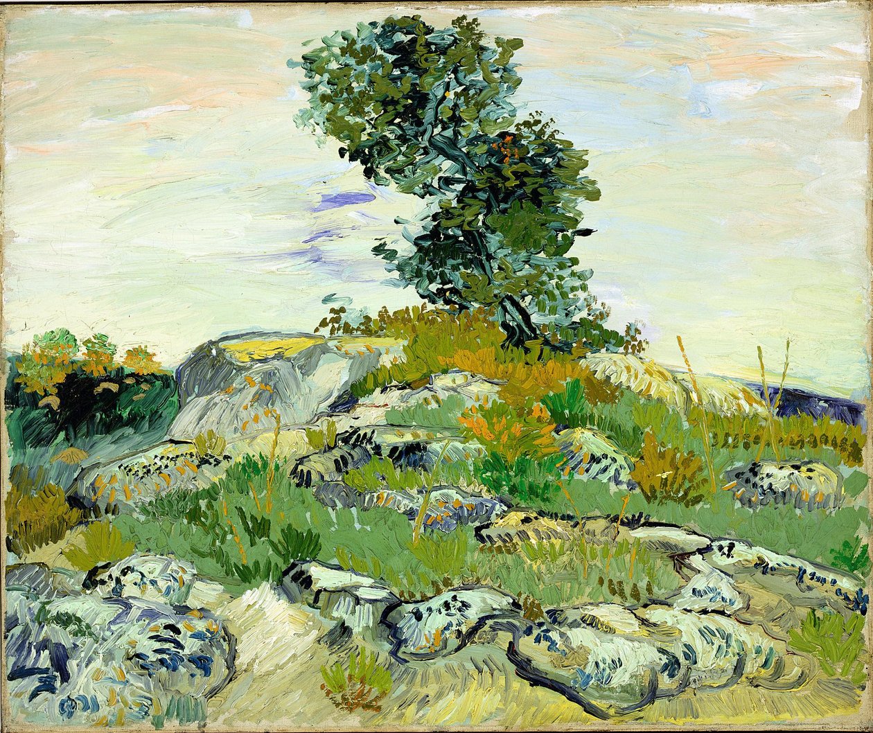 As rochas de Vincent van Gogh