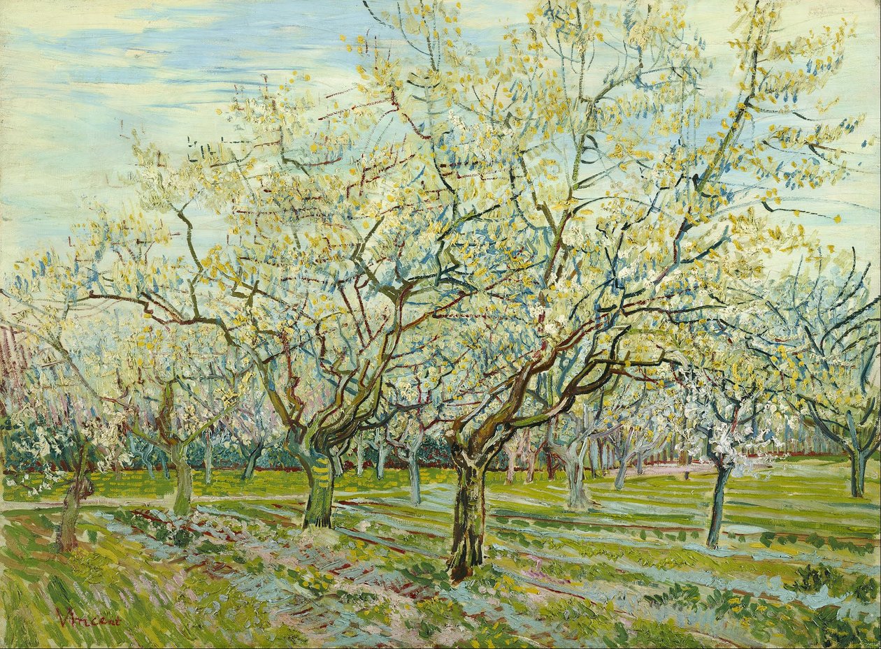 O pomar branco de Vincent van Gogh