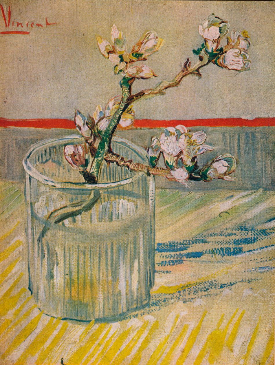 Caule florido DAmandier, 1888 de Vincent van Gogh