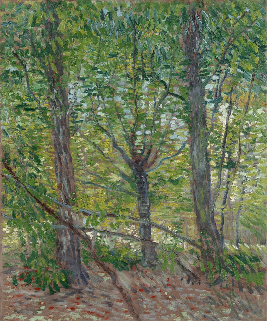 Árvores de Vincent van Gogh