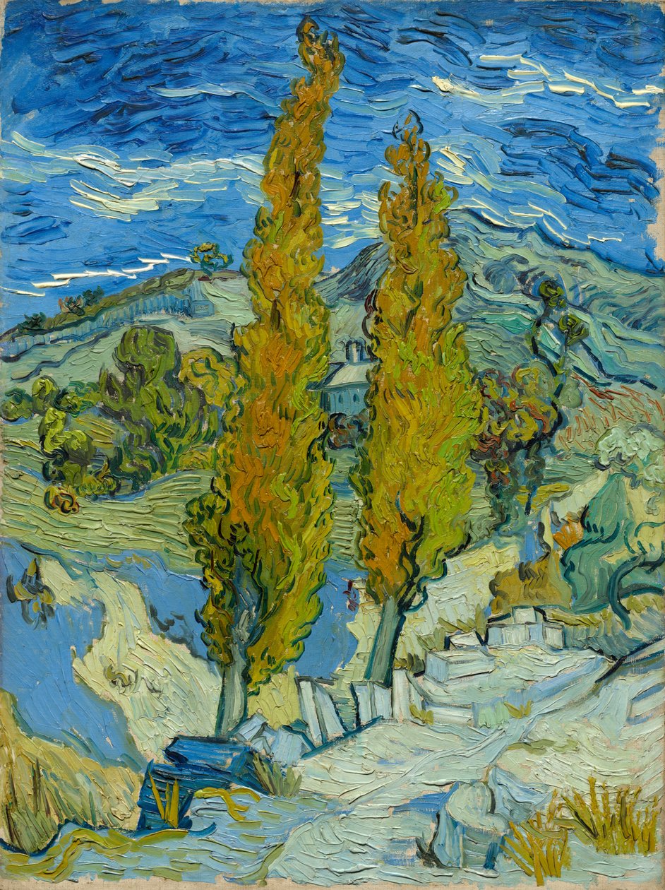 Dois álamos nos Alpilles perto de Saint-Rémy de Vincent van Gogh