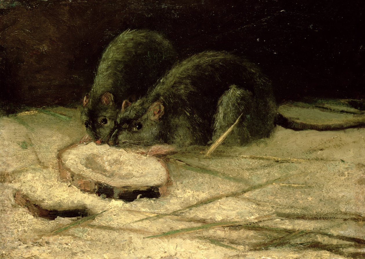 Dois ratos, c.1884 de Vincent van Gogh