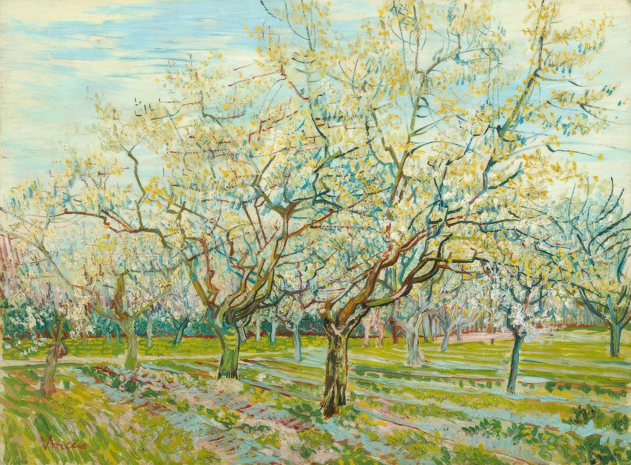 V. van Gogh, O Pomar Branco de Vincent van Gogh