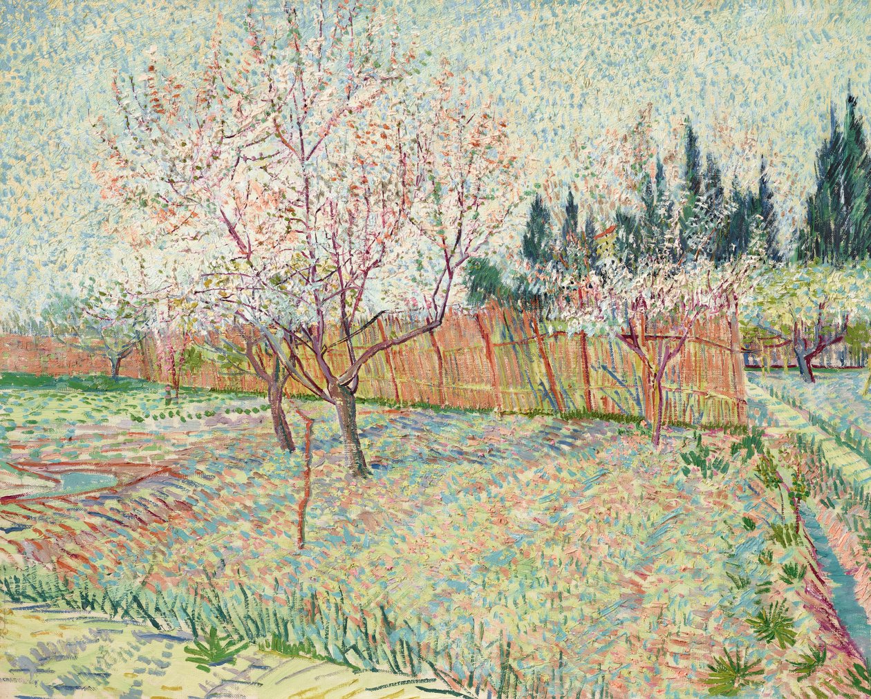 Pomar com cipreste de Vincent van Gogh