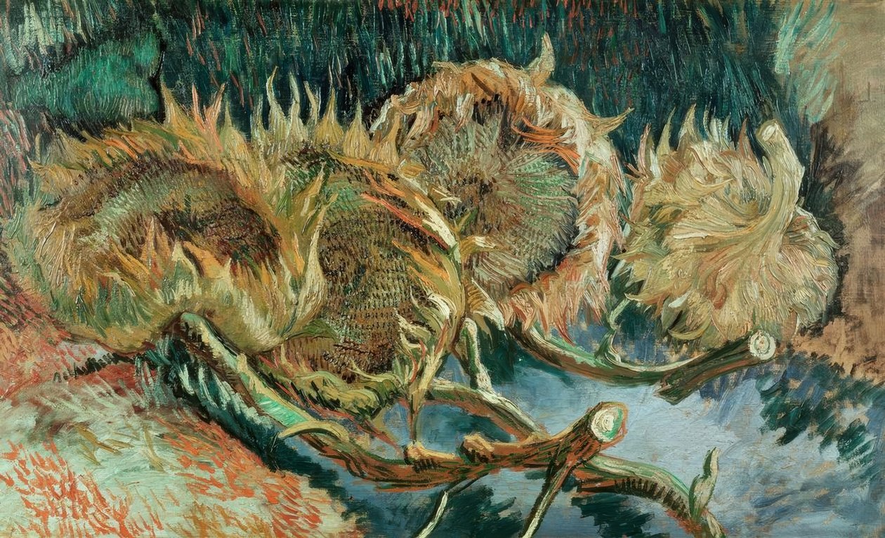 Quatro girassóis desbotados de Vincent van Gogh