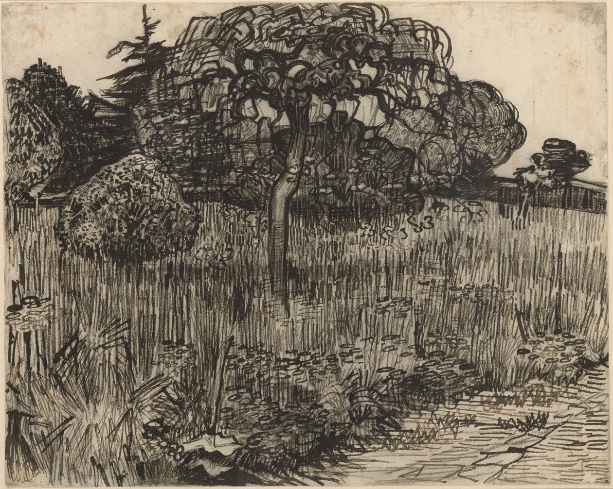 Árvore chorona de Vincent van Gogh