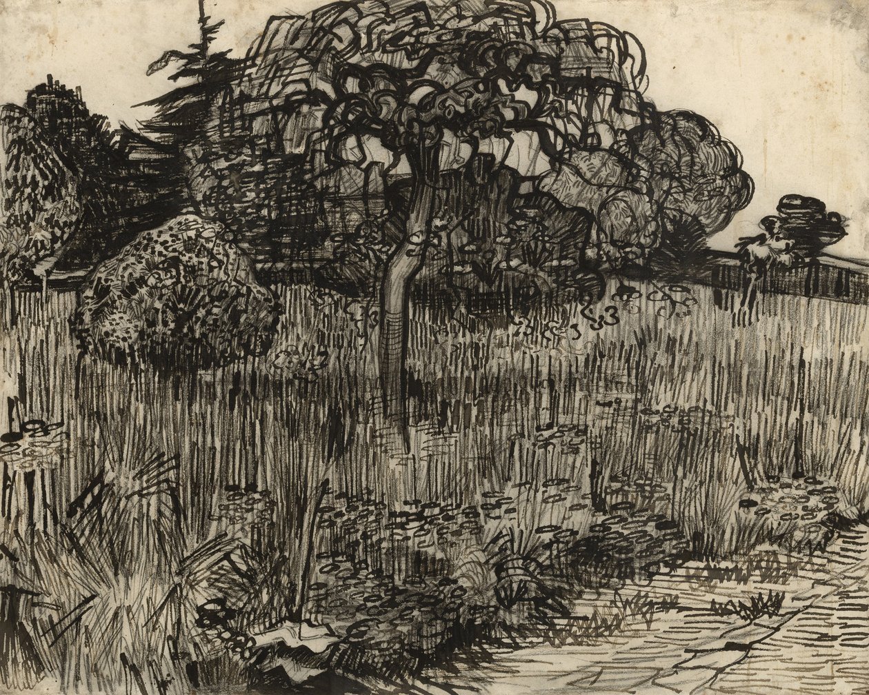 Árvore chorando, 1889 de Vincent van Gogh