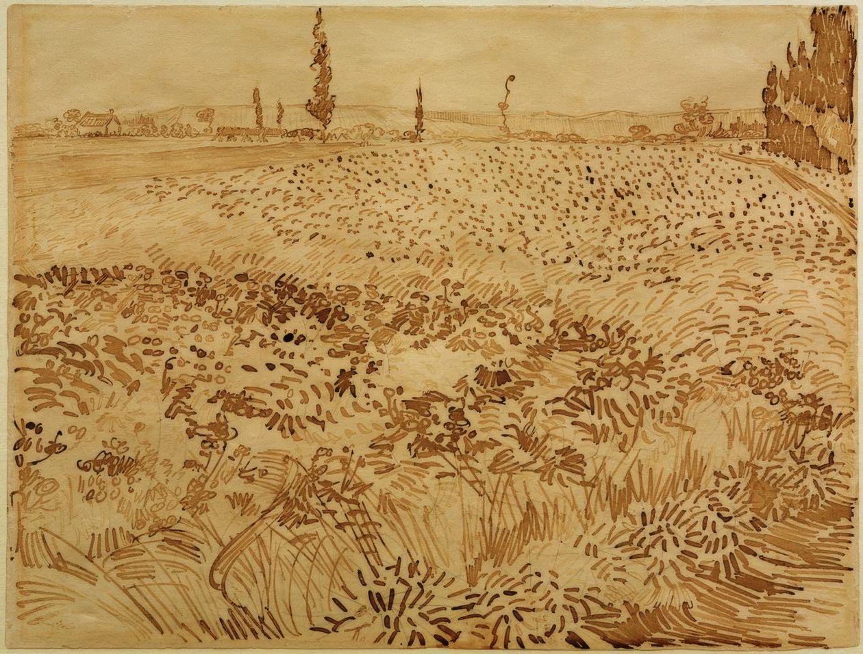 campo de trigo de Vincent van Gogh