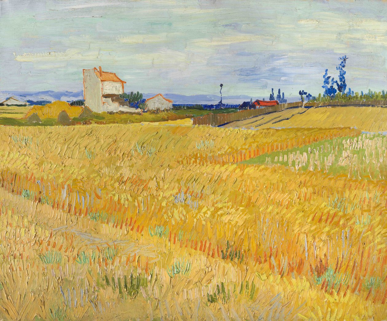 Campo de trigo (Champs de blé) de Vincent van Gogh