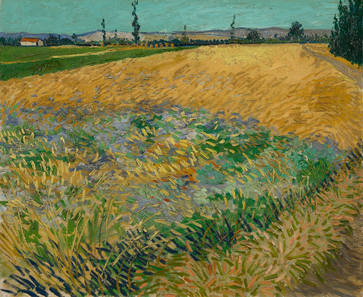 Campo de trigo de Vincent van Gogh