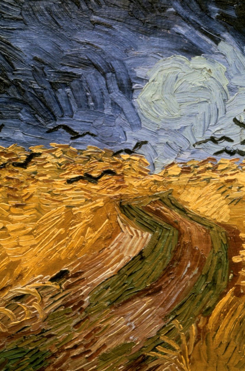 Campo de trigo com corvos, detalhe 1890. de Vincent van Gogh
