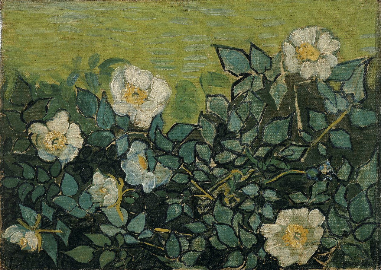 Rosas silvestres de Vincent van Gogh