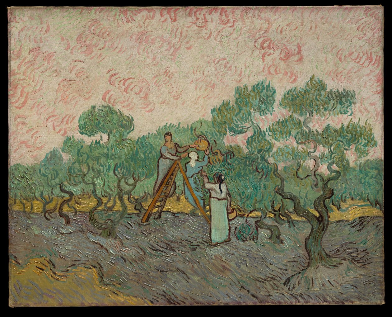 Mulheres a colher azeitonas de Vincent van Gogh
