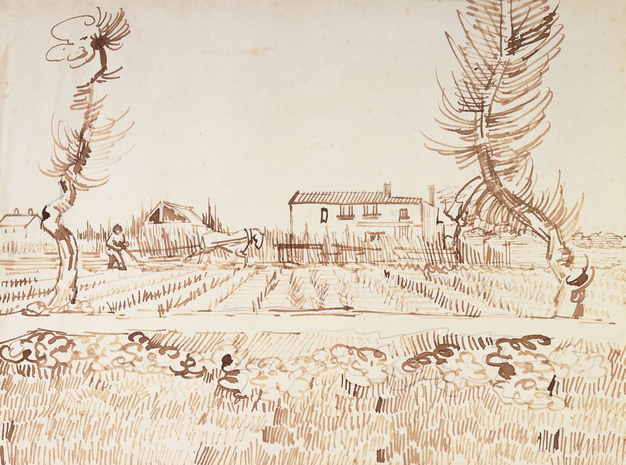 Trabalhando os campos em Arles; Arado nos campos de Arles, 1888 de Vincent van Gogh