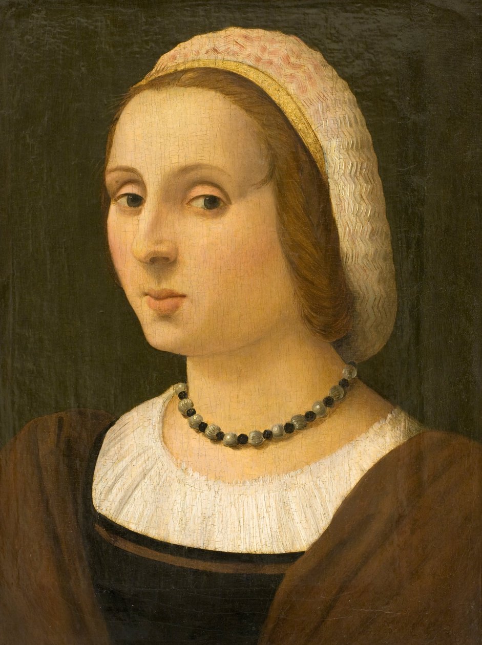 Retrato de uma senhora de Vincenzo Tamagni
