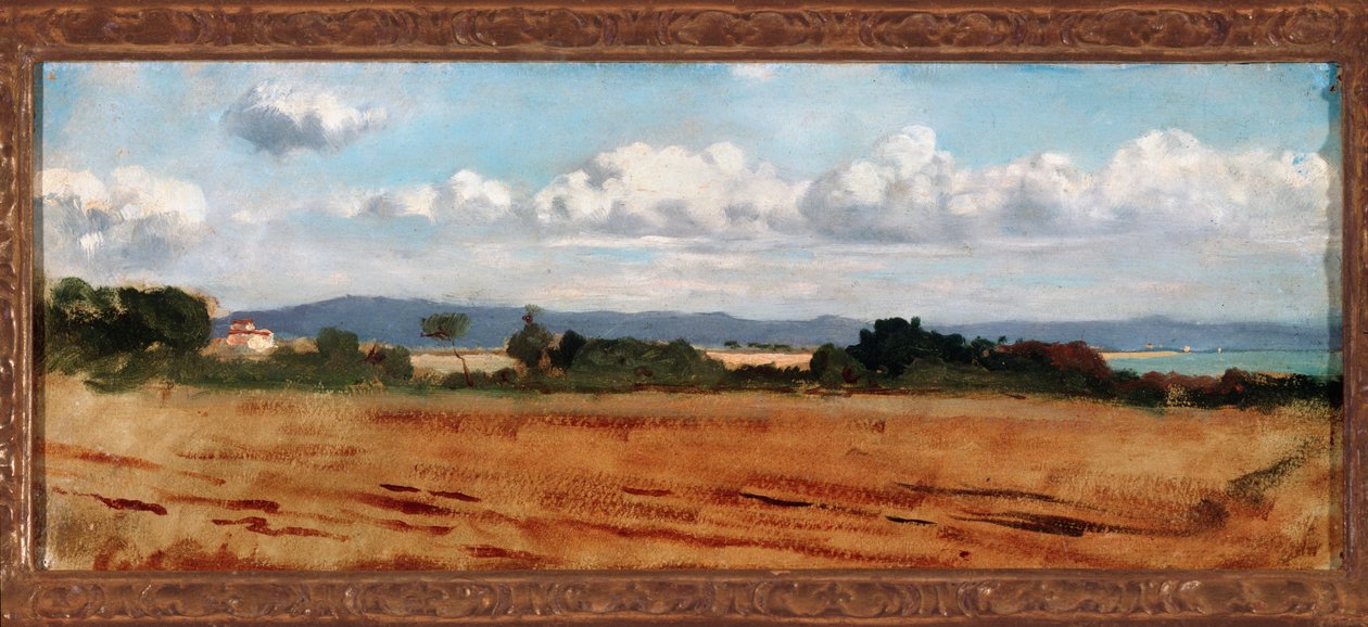 Paisagem com nuvens em Castiglioncello (óleo sobre tela de Vincenzo Cabianca