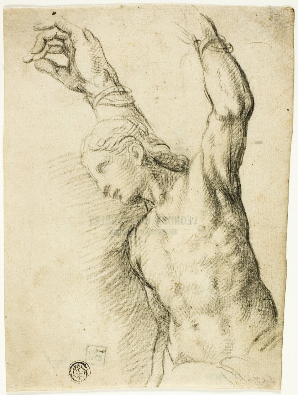 São Sebastião de Vincenzo Campi