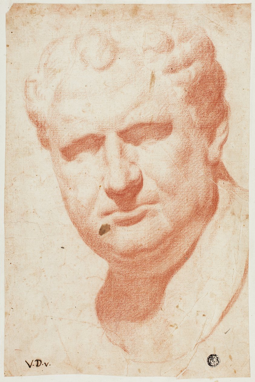 Busto de retrato antigo de Vespasiano de Vincenzo Dandini