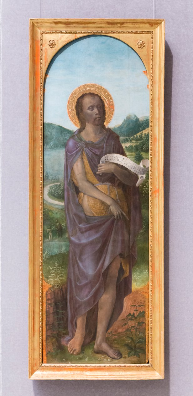 São João Batista de Vincenzo Foppa
