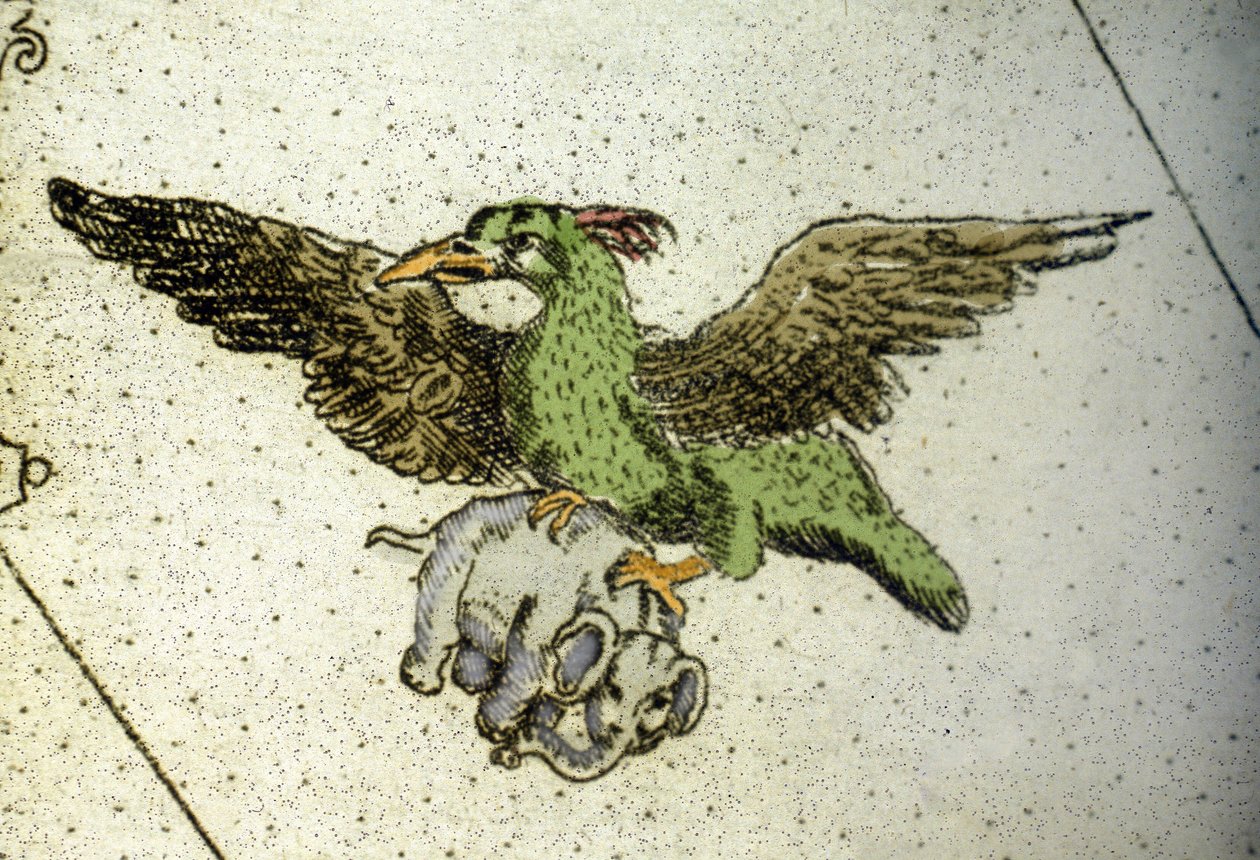 O pássaro gigante Rok carregando um elefante entre suas estufas para dá-lo aos seus filhotes, detalhe de um mapa mundial de Vincenzo coronelli (1650-1718). Século XVII de Vincenzo Maria Coronelli