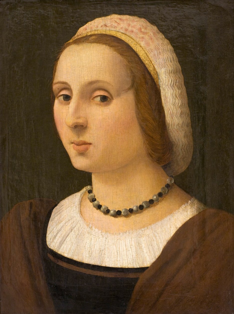 Retrato de uma senhora de Vincenzo Tamagni