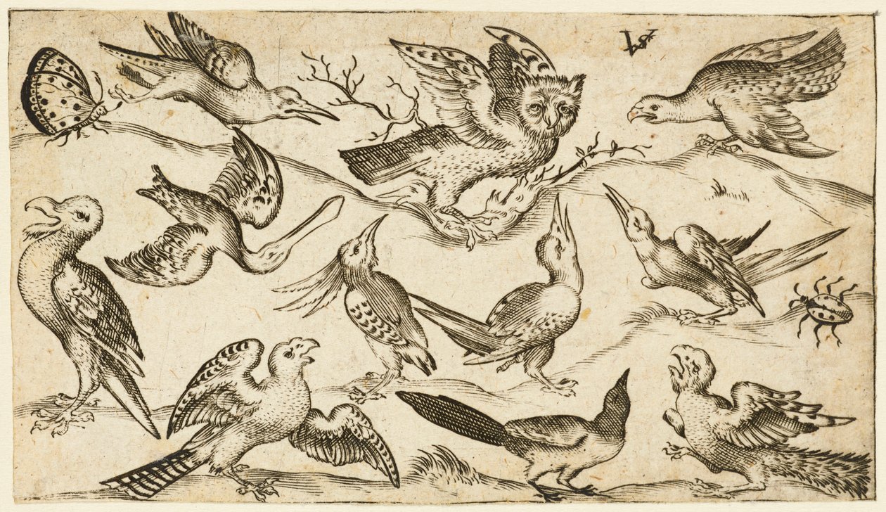 Onze pássaros e dois insetos em terreno mínimo com coruja de asas estendidas..., 1572. de Virgil Solis
