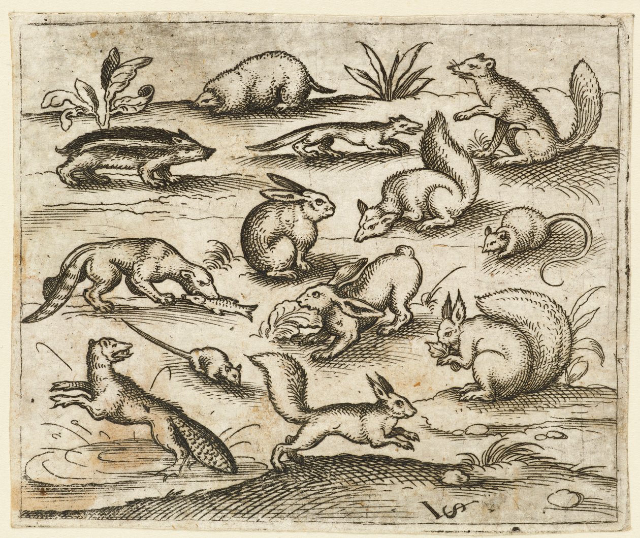 Grupo de pequenas criaturas da floresta comendo e correndo ao redor de um lago, incluindo um rato..., 1557. de Virgil Solis
