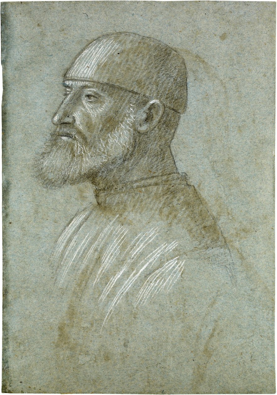 Cabeça de um homem barbudo com boné, de perfil para a esquerda de Vittore Carpaccio