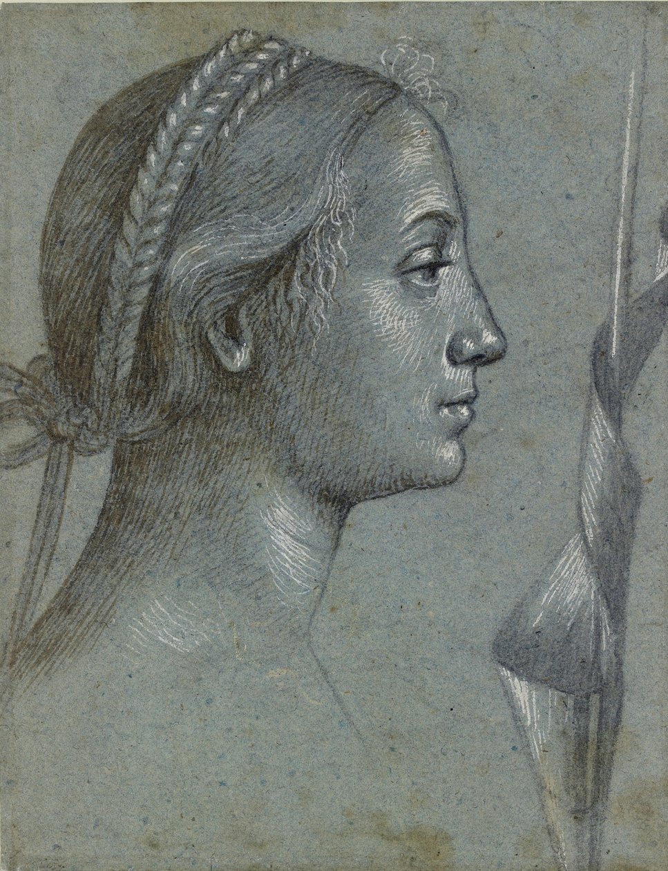 Cabeça de uma mulher com uma flâmula enrolada em um polonês, final do século XV de Vittore Carpaccio