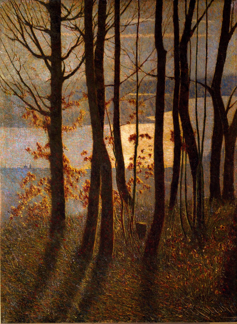 Paisagem de vegetação rasteira perto de um corpo de água ao amanhecer. Pintura de Vittore Grubicy of Dragon (1851-1920) Milão, Galleria d