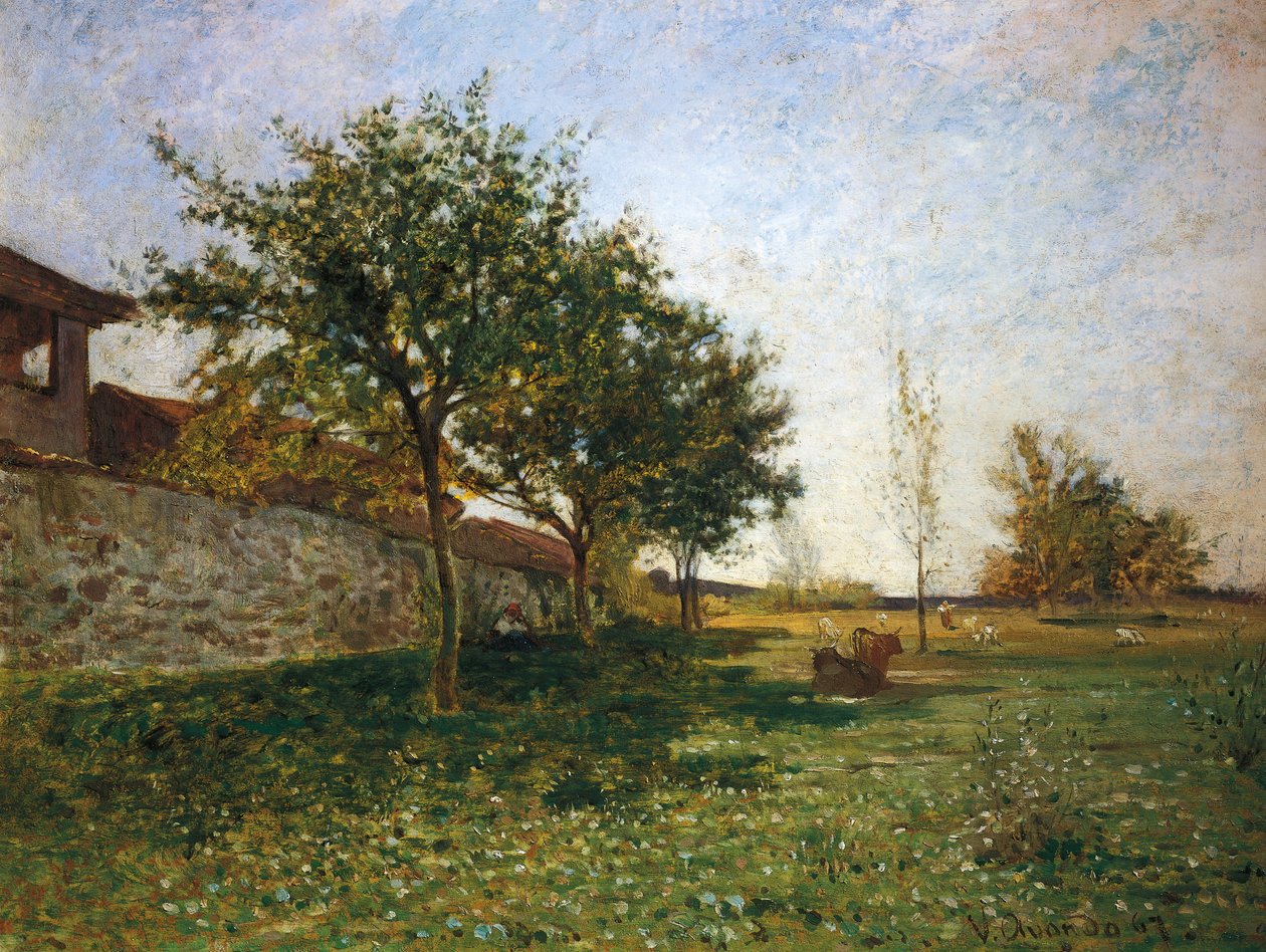 Campo perto de Gattinara de Vittorio Avondo