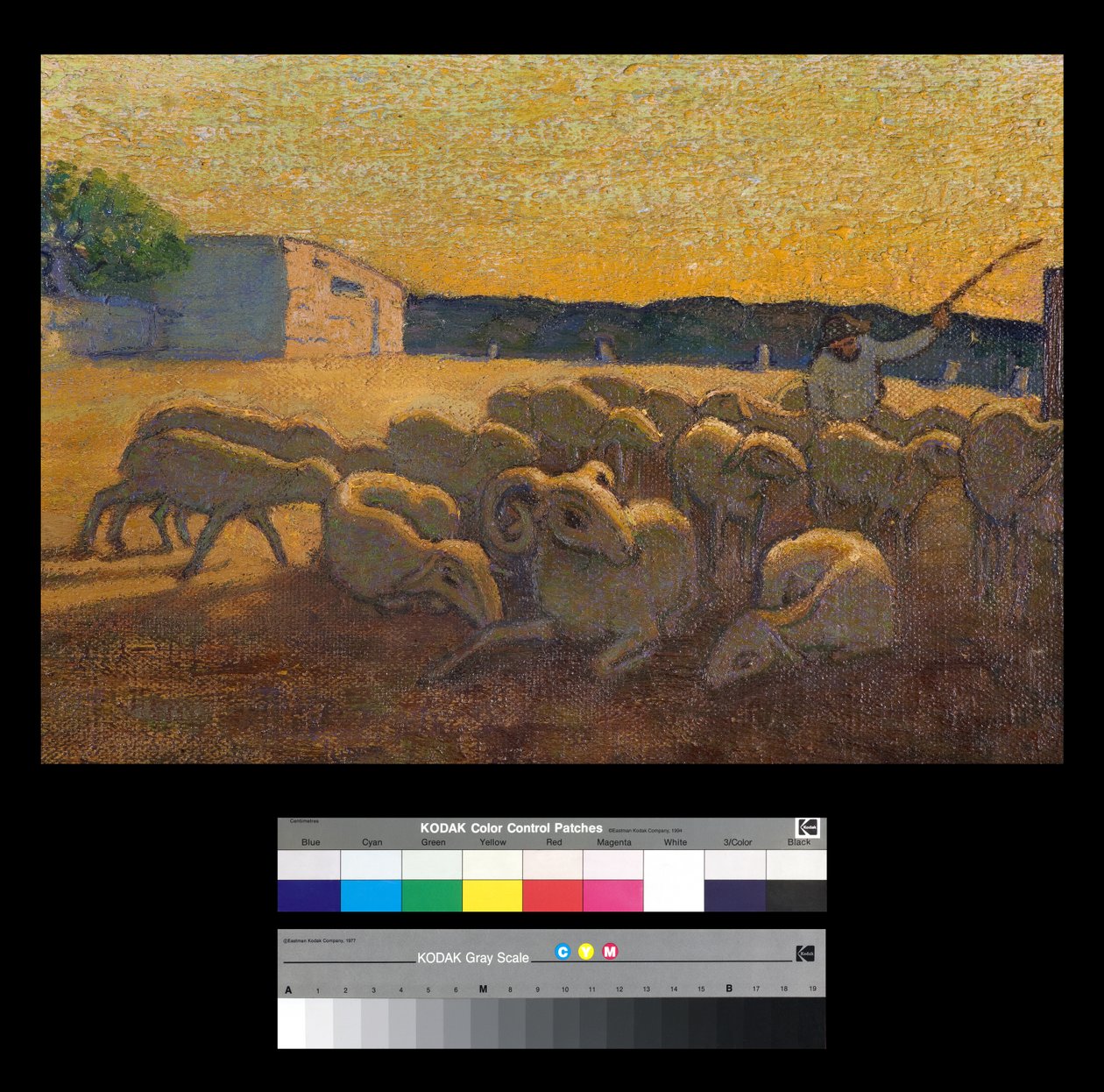 Pôr-do-sol com ovelhas de Vittorio Bolaffio