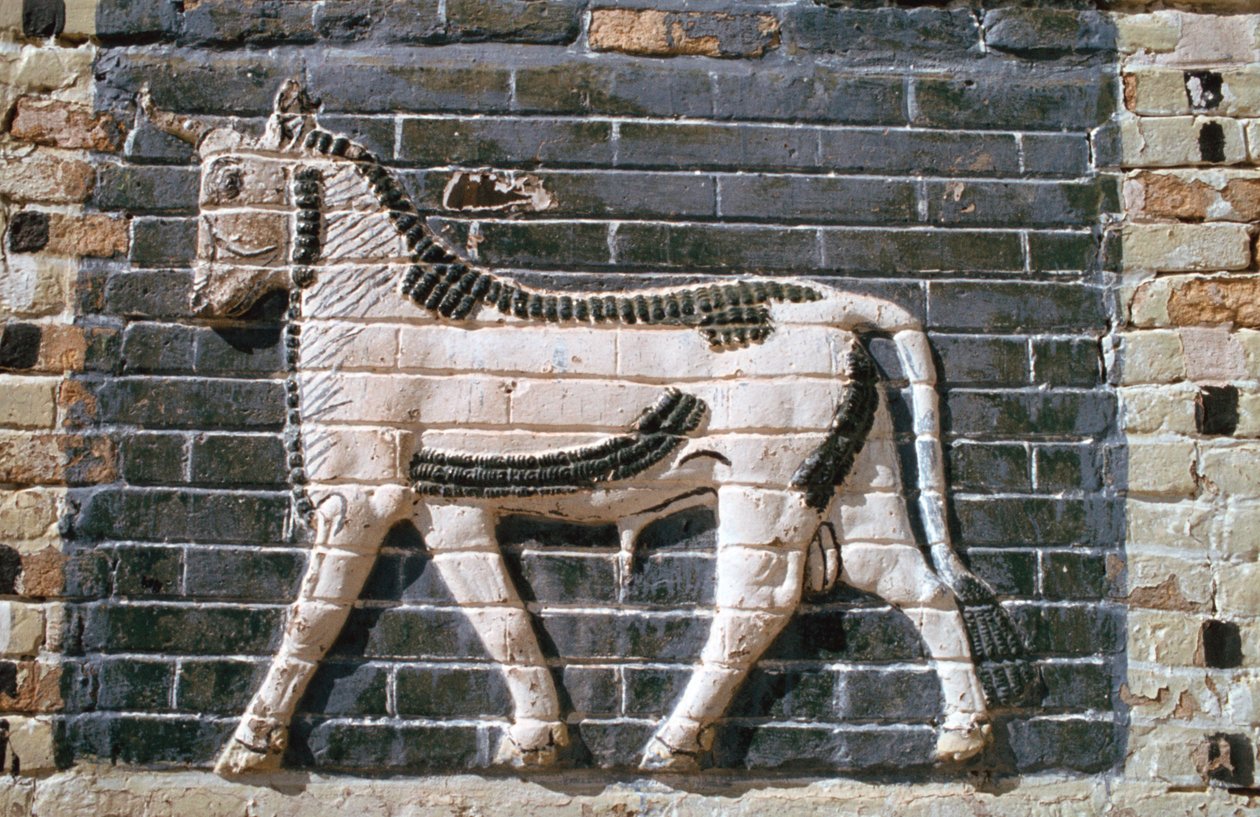 Touro, tijolos vitrificados, Portão de Ishtar, Babilônia, Iraque. de Vivienne Sharp