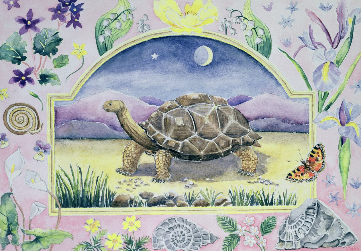 Tartaruga Gigante (mês de maio de um calendário) de Vivika Alexander