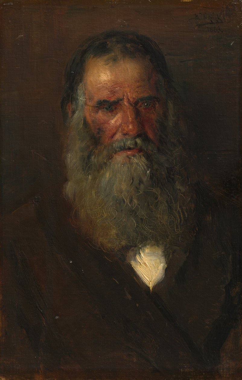 Estudo da cabeça de um velho, 1883. de Vladimir Egorovic Makovskij
