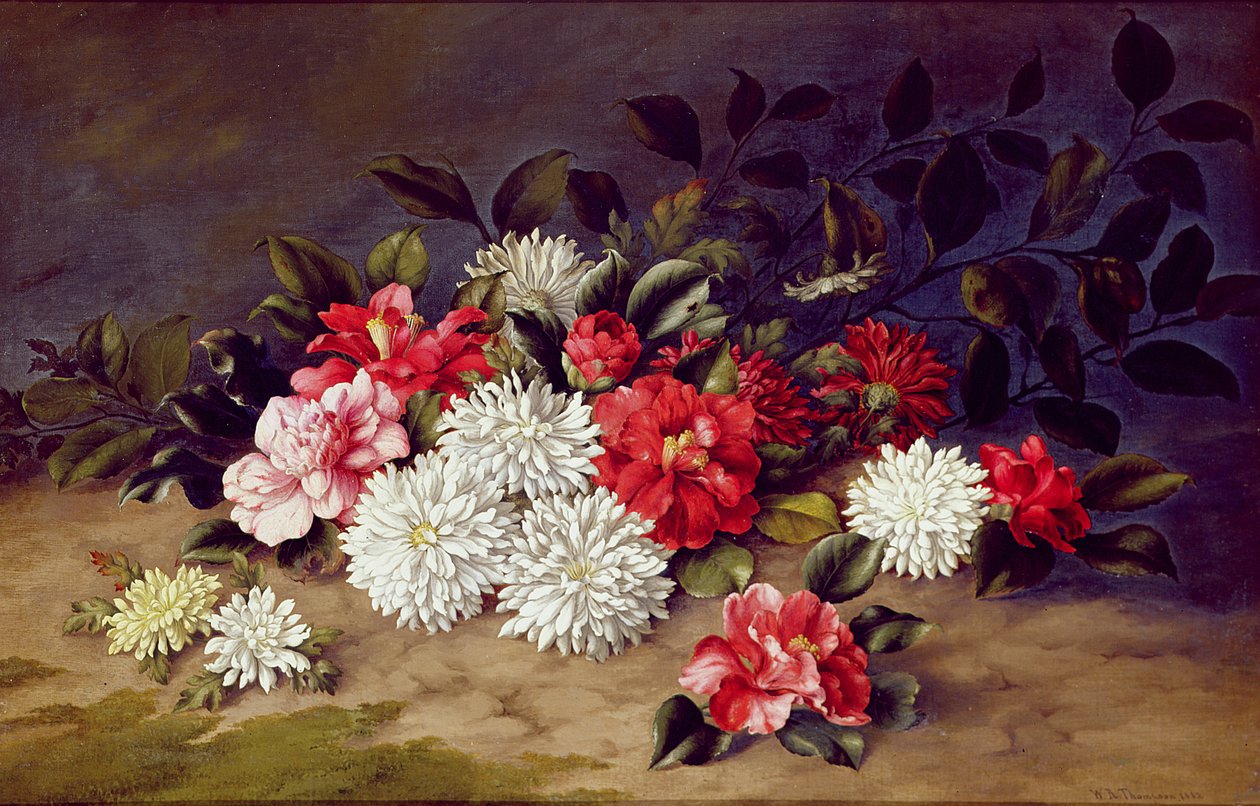 Ainda vida de crisântemos e camelias, 1883 de W. R. Thompson